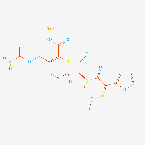 Ceftozoxime Sod Sterile